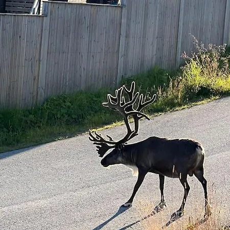 Sea Breeze&silence - Kvaløysletta *