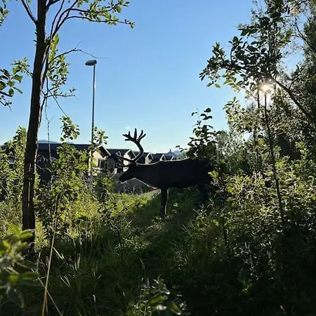 Hybelleilighet I Flott Endegate * Tromso