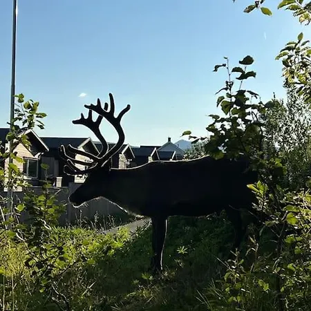 Sea Breeze&silence - Kvaløysletta