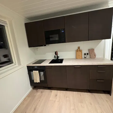 Apartment Hybelleilighet I Flott Endegate *